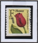 Stamps United States -  Tulipan