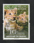Stamps Africa - Morocco -  1927 - 10 Anivº del Zoo de Rabat, tigres