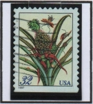 Stamps United States -  Piña Floración