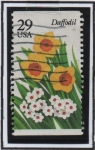 Stamps United States -  Narcisos