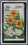 Sellos de America - Estados Unidos -  Narcisos