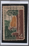 Stamps United States -  Escena Forestal