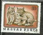 Stamps : Europe : Hungary :  Lynx Lynx