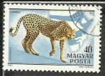 Stamps Hungary -  Gepard