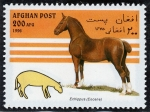 Stamps : Asia : Afghanistan :  Caballos