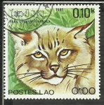 Stamps : Asia : Laos :  Felis Silvestris Ornata