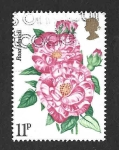 Sellos de Europa - Reino Unido -  788 - Centenario de la Real Sociedad Nacional de Rosas