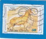 Stamps : Africa : Tunisia :  CERVIDO