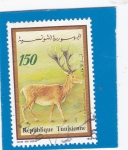 Stamps Tunisia -  CERVIDO