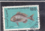Stamps Tunisia -  PEZ TAPARRABOS