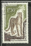 Stamps : Africa : Mauritania :  Guepard
