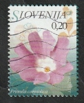 Stamps : Europe : Slovenia :  561 - Flor, Primula carniolica