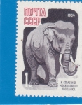 Stamps Russia -  elefante