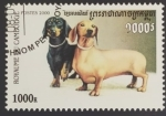 Stamps : Asia : Cambodia :  Dachshund pelo corto