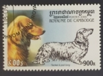 Stamps Cambodia -  Dachshund pelo largo