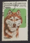 Stamps : Asia : Cambodia :  Husky