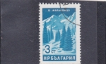 Stamps Bulgaria -  bosque de abetos