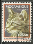 Stamps Africa - Mozambique -  Gato vulgar do medio oriente
