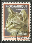 Sellos de Africa - Mozambique -  Gato vulgar do medio oriente