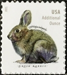 Stamps : America : United_States :   Brush Rabbit (Sylvilagus bachmani)