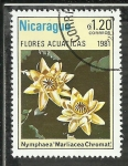 Stamps Nicaragua -  Nymphaea Marliacea Chromat