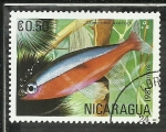 Stamps : America : Nicaragua :  Cheirodon Axelrodi