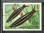 Stamps Nicaragua -  Anostomus Anostomus