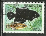 Sellos de America - Nicaragua -  Austrolebias Nigripinnis