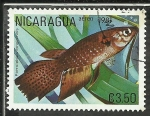Stamps : America : Nicaragua :  Pterolebias Longipinnis