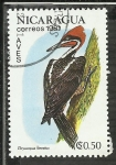 Stamps Nicaragua -  Dryocopus Lineatus