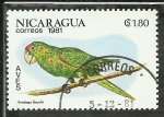 Sellos de America - Nicaragua -  Aratinga Finschi