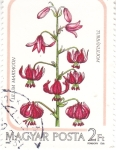 Stamps Hungary -  FLORES