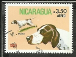 Sellos de America - Nicaragua -  Pointier