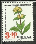 Stamps Poland -  Gentiana Punctata