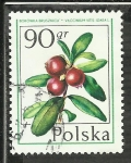 Sellos de Europa - Polonia -  Borowka Brusznica