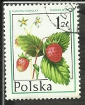 Stamps Poland -  Poziomka Postpolita