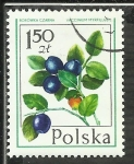Stamps Poland -  Borowka Czarna