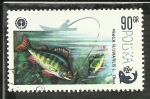 Stamps Poland -  Perca Fluviatilis