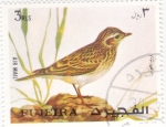 Stamps United Arab Emirates -  AVE-