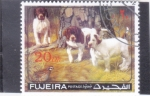 Stamps United Arab Emirates -  PERROS DE RAZA