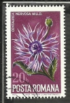 Stamps : Europe : Romania :  Centaurea Nervosa