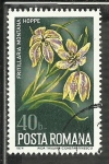 Sellos de Europa - Rumania -  Fritillaria Montana