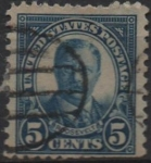 Stamps United States -  Theodoro Roosevelt