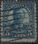 Sellos de America - Estados Unidos -  Theodoro Roosevelt