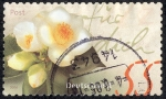 Stamps Germany -  Flores