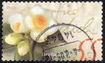 Sellos del Mundo : Europa : Alemania : Flores