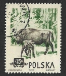 Stamps Poland -  660 - Bisonte