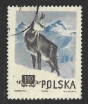 Stamps Poland -  662 - Rebeco