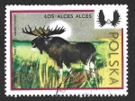 Stamps Poland -  1973 - L Aniversario de la Asociación de Caza Polaca