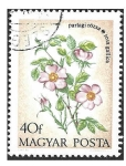 Stamps Hungary -  2240 - Rosa de Provenza